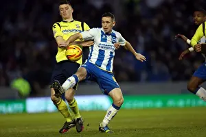 Brighton & Hove Albion's Historic 11-1 Victory over Birmingham City (January 11, 2014)