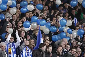 Brighton & Hove Albion's Historic FA Cup Upset at Villa Park (January 2010)