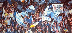 Brighton & Hove Albion's Historic FA Cup Victory (1983)