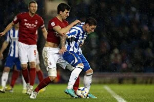 Images Dated 15th December 2012: Brighton & Hove Albion's Will Hoskins in Action Against Nottingham Forest