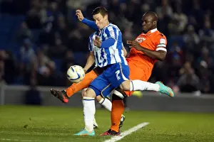 Millwall - 18-12-2012 Prints: Brighton & Hove Albion's Will Hoskins Shoots Against Millwall in December 2012