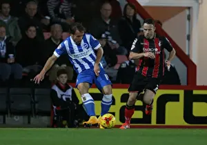 Bournemouth 01NOV14 Prints: Brighton & Hove Albion's Inigo Calderon at American Express Community Stadium vs