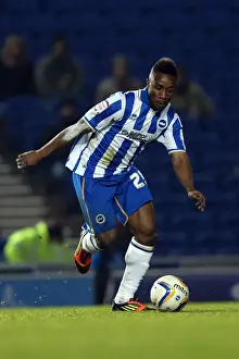 Millwall - 18-12-2012 Prints: Brighton & Hove Albion's Kazenga LuaLua in the Forest of Amex Stadium during Decisive Championship Clash vs