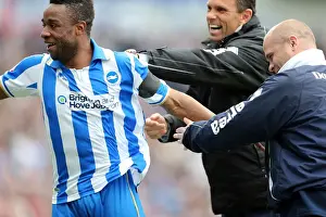 Event:bw 20130504 Prints: Brighton & Hove Albion's Kazenga LuaLua Scores Game-Winning Goal vs