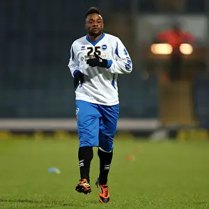 Blackburn Rovers - 22-01-2013 Prints: Brighton & Hove Albion's Kazenga LuaLua Training Ahead of Brighton Derby against Blackburn Rovers