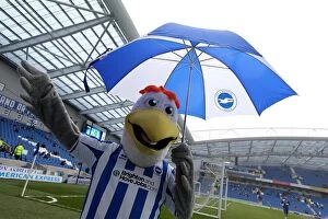Images Dated 4th May 2013: Brighton & Hove Albion's Legendary Trio: Gully, Sammy, and Sally