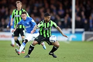 Images Dated 16th April 2013: Brighton & Hove Albion's Liam Bridcutt in Action Against Middlesbrough, Championship Match