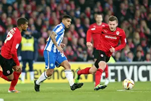 2013 Prints: Brighton & Hove Albion's Liam Bridcutt in Action Against Cardiff City (February 19)