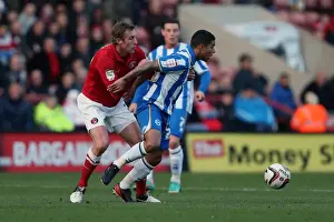 Charlton Athletic - 08-12-2012 Prints: Brighton & Hove Albion's Liam Bridcutt in Action Against Charlton Athletic (Dec 2012)