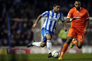 Millwall - 18-12-2012 Prints: Brighton & Hove Albion's Liam Bridcutt in Action Against Millwall, December 18, 2012
