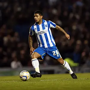 Millwall - 18-12-2012 Prints: Brighton & Hove Albion's Liam Bridcutt Amidst the Forest: Brighton v Millwall