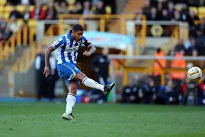 Wolves - 10-11-2012 Prints: Brighton & Hove Albion's Liam Bridcutt Shoots Against Wolverhampton Wanderers