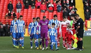 Images Dated 10th January 2015: Brighton & Hove Albion's Mascot at Charlton Athletic's The Valley during Sky Bet Championship Match