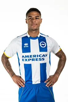Brighton & Hove Albion's Midfield Maestro: Liam Bridcutt