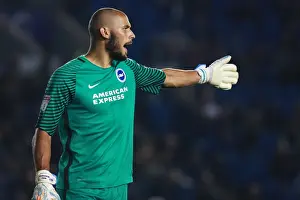 Brighton & Hove Albion's Niki Maenpaa in Action during EFL Cup Clash vs. Reading (2016)