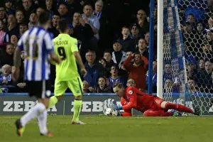 Brighton and Hove Albion's Play-Off Battle: Sheffield Wednesday Showdown (May 2016)