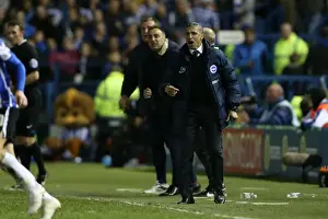 Sheffield Wednesday Play Off 1st Leg 13MAY16 Prints: Brighton and Hove Albion's Play-Off Battle: Sheffield Wednesday Showdown (May 2016)