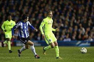 Images Dated 13th May 2016: Brighton and Hove Albion's Play-Off Pursuit: Sheffield Wednesday Showdown (May 2016)