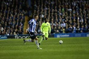 Images Dated 13th May 2016: Brighton and Hove Albion's Play-Off Thriller: First Leg vs. Sheffield Wednesday at Hillsborough