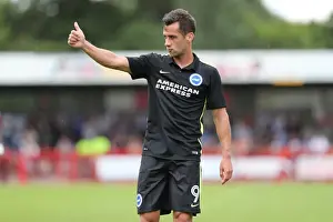 Brighton and Hove Albion's Pre-season Challenge at Crawley Town: A Look into the EFL Sky Bet Championship Clash (16JUL16)