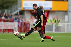 Crawley Town 16JUL16 Prints: Brighton and Hove Albion's Pre-season Challenge: Crawley Town vs