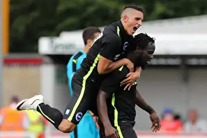 Pre-Season Prints: Brighton and Hove Albion's Pre-season Challenge: Crawley Town vs