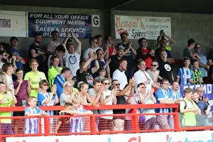 Brighton and Hove Albion's Pre-season Challenge: A Look into the Championship Battle - Crawley Town vs. Brighton (16th July 2016)