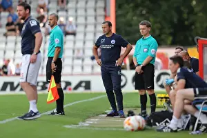 Brighton and Hove Albion's Pre-Season Clash at Stevenage: The Lamex Stadium (23JUL16)