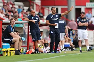 Pre-Season Prints: Brighton and Hove Albion's Pre-season Clash at Stevenage: The Lamex Stadium (23JUL16)