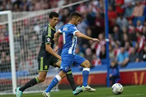 Middlesbrough 18OCT14 Prints: Brighton & Hove Albion's Sam Baldock in Action Against Middlesbrough (October 2014)