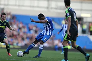 Middlesbrough 18OCT14 Prints: Brighton & Hove Albion's Sam Baldock Aims for the Net against Middlesbrough (18OCT14)