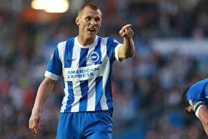 Images Dated 16th May 2016: Brighton and Hove Albion's Steve Sidwell in Play-Off Tension: Brighton v Sheffield Wednesday