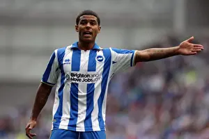 Brighton & Hove Albion's Tenacious Midfielder: Liam Bridcutt