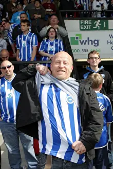Walsall Prints: Brighton & Hove Albion's Thrilling Away Win at Walsall (2010-11): A Memorable Moment in Past Seasons