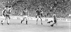 Brighton & Hove Albion's Triumph at the 1983 FA Cup Final