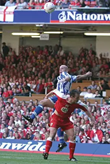Brighton & Hove Albion's Triumph at the 2004 Play-off Final