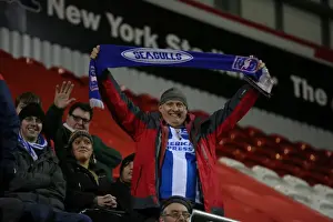 Brighton and Hove Albion's Triumph over Rotherham United in Sky Bet Championship (12 January 2016)