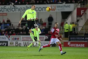 Brighton and Hove Albion's Triumph over Rotherham United in Sky Bet Championship (12 January 2016)
