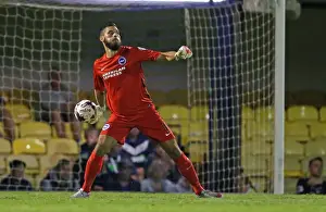 Brighton and Hove Albion's Triumph over Southend United in the 2015 Capital One Cup