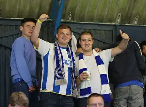 Brighton and Hove Albion's Triumph over Southend United in the 2015 Capital One Cup