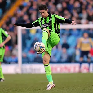 Sheffield Wednesday - 02-02-2013 Prints: Brighton & Hove Albion's Wayne Bridge in Action Against Sheffield Wednesday