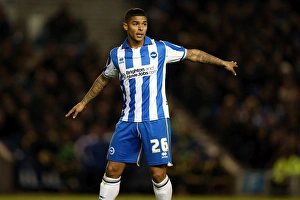 Liam Bridcutt Gallery: Brighton Leeds Utd 121102