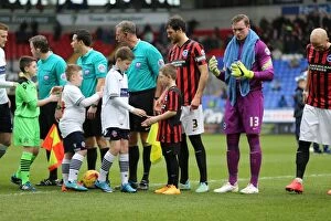 Images Dated 28th February 2015: Brighton Mascot Faces Off Against Bolton Wanderers in Championship Clash (28FEB15)
