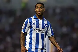 Season 2011-12 Prints: Brighton Midfielder Liam Bridcutt: Unwavering Focus and Determination on the Field