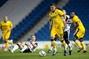 Brighton Norwich 130730 Brighton Norwich 130730