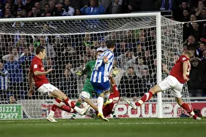 Season 2011-12 Prints: Brighton v Barnsley nPower Championship - Ryan Harley scores Albions second goal