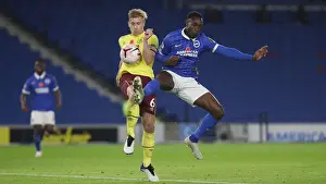 Brighton vs. Burnley: Intense Premier League Clash at American Express Community Stadium (Nov. 6, 2020)