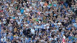 Brighton vs. Burnley: Premier League Clash at American Express Community Stadium (September 14, 2019)