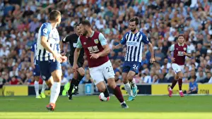 Brighton vs. Burnley: Premier League Showdown at American Express Community Stadium (14SEP19)