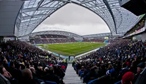 Brighton vs Crystal Palace Rivalry: Clash at The Amex Stadium (17/03/2013)